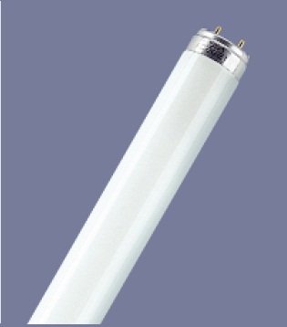 Лампа люминесцентная 36/765 (хол.днев. свет) OSRAM купить в каталоге интернет магазина СМИТ с доставкой по Улан-Удэ