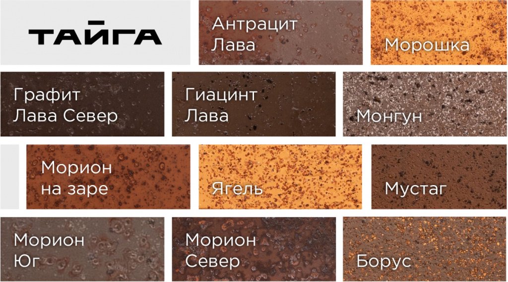 тайга.jpg тайга.jpg
