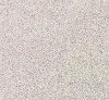 Керамический гранит 60*60 SP 602 серо-черн. купить в каталоге интернет магазина СМИТ с доставкой по Улан-Удэ