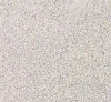 Керамический гранит 30*30 SP 302 серо-черный купить в каталоге интернет магазина СМИТ с доставкой по Улан-Удэ