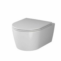 Унитаз подвесной AM.PM Func C8F1700SC,49 см FlashClean с сиденьем микролифт